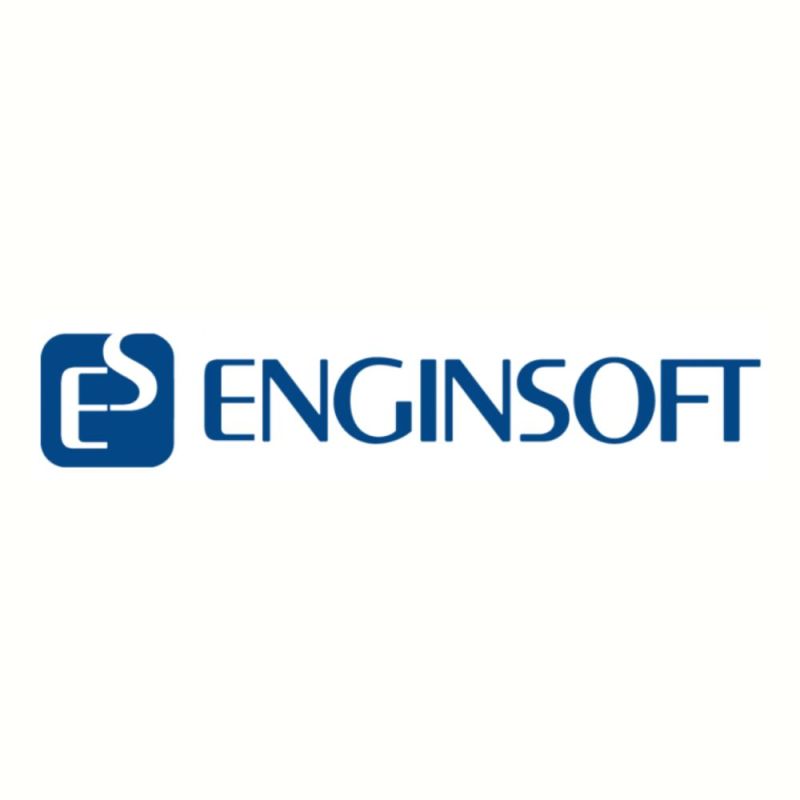 Enginsoft